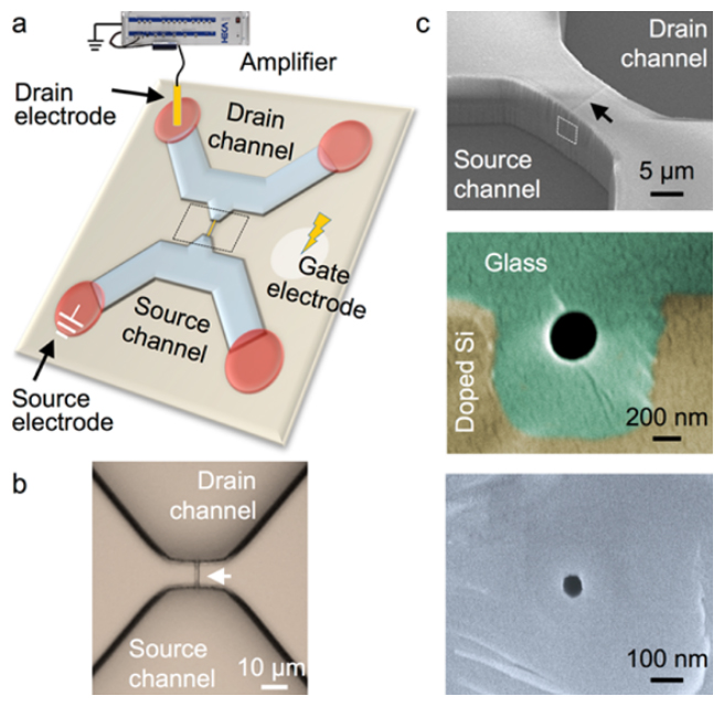 Featuring Microfluidics and Nanofluidics Research