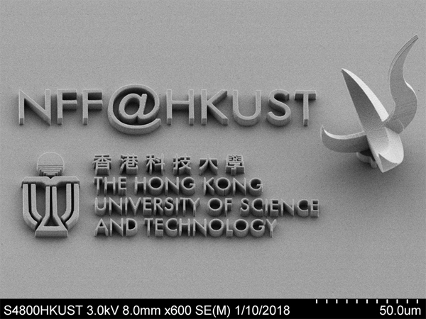 Scanning electron microscopy (SEM) pictures of the world’s smallest HKUST Sundial (“Red Bird”) printed on a glass substrate using the new 3-D laser nano-printer.