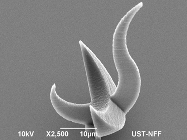 Scanning electron microscopy (SEM) pictures of the world’s smallest HKUST Sundial (“Red Bird”) printed on a glass substrate using the new 3-D laser nano-printer.